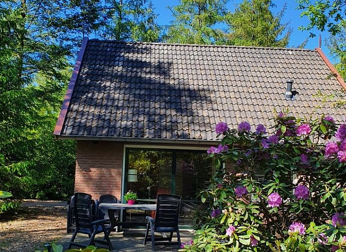 Spacious living room in Cottage in Deurningen, vacation home in Twente, Overijssel with comfortable seating area.