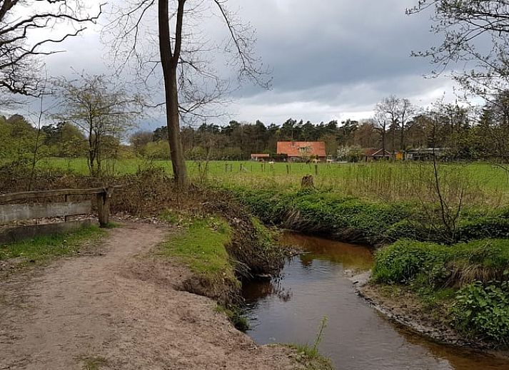 Unterkunft 524108 - Ferienhaus Twente - Vakantiehuisje in Deurningen