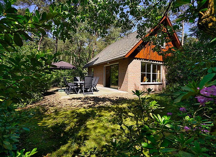 Gemuetliches Wohnzimmer im Boshuus Comfort Plus, Deurningen, Twente, Overijssel mit Zugang zu Terrasse und Natur.
