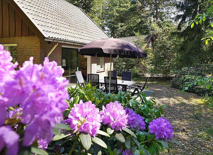 Cozy living room in Boshuus Comfort Plus vacation home in Deurningen, Twente, overlooking green nature.