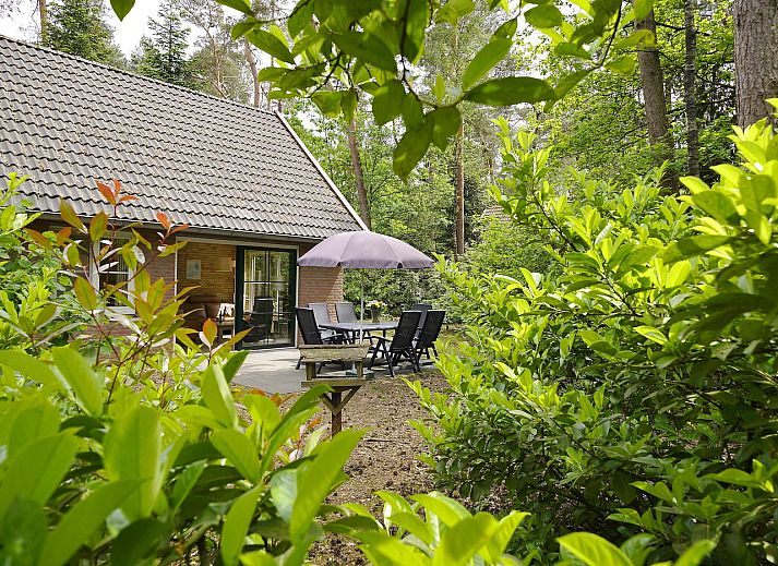 Unterkunft 524118 - Ferienhaus Twente - Boshuus Wellness