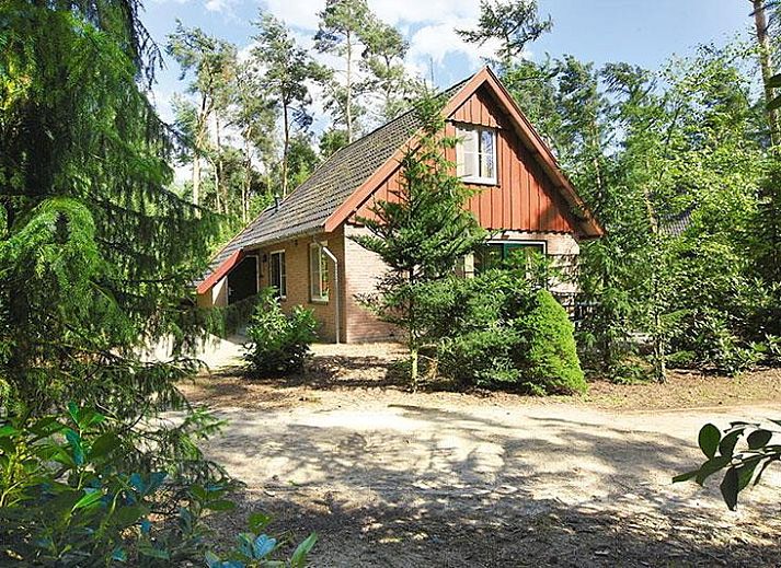 Familienhaus Ferienwohnung in Deurningen, Twente, umgeben von gruener Natur.