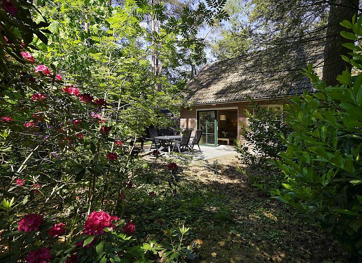 Helles Schlafzimmer mit grossem Fenster im Boshuus Zorg, Ferienunterkunft in Deurningen, Overijssel.