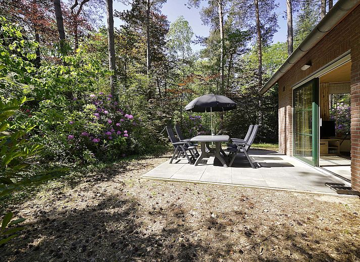 Gemuetliches Wohnzimmer des Ferienhauses Boshuus Zorg, Deurningen, mit Blick auf die Natur.