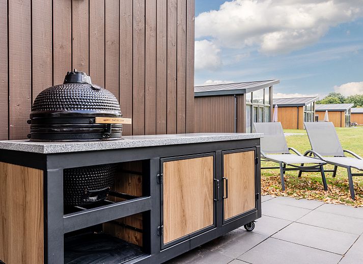 Sallandse Heuvelrug 8-Personen-Haus in Hoge Hexel, Twente mit modernem Aeusseren und gruener Umgebung.