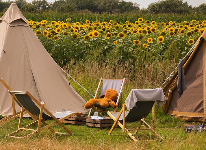 Unterkunft 524620 - Zelthaus Twente - Pop-up glamping: Buurvrouws' Belltentje