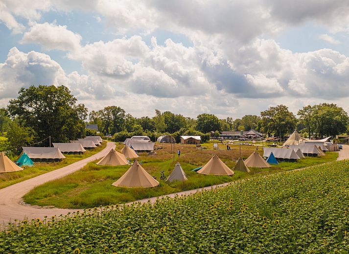 Unterkunft 524620 - Zelthaus Twente - Pop-up glamping: Buurvrouws' Belltentje