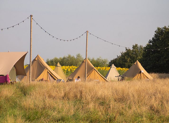 Unterkunft 524620 - Zelthaus Twente - Pop-up glamping: Buurvrouws' Belltentje