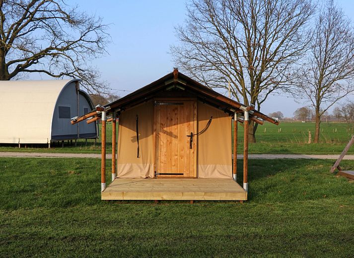 Unterkunft 524621 - Zelthaus Twente - Pop-up glamping: Buurman's Awajitentje