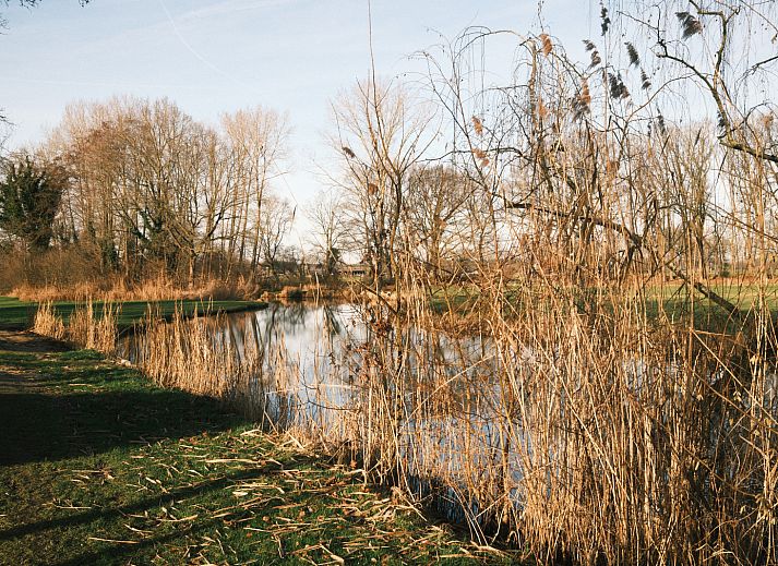 Verblijf 524623 - Vakantiewoning Twente - River Mirrorlodge met bubbeltub en panoramaview