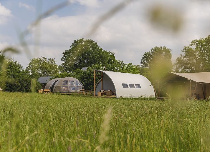 Verblijf 524634 • Tenthuis Twente • Groepsaccommodatie (6x luxe glampingtent) I 28 personen