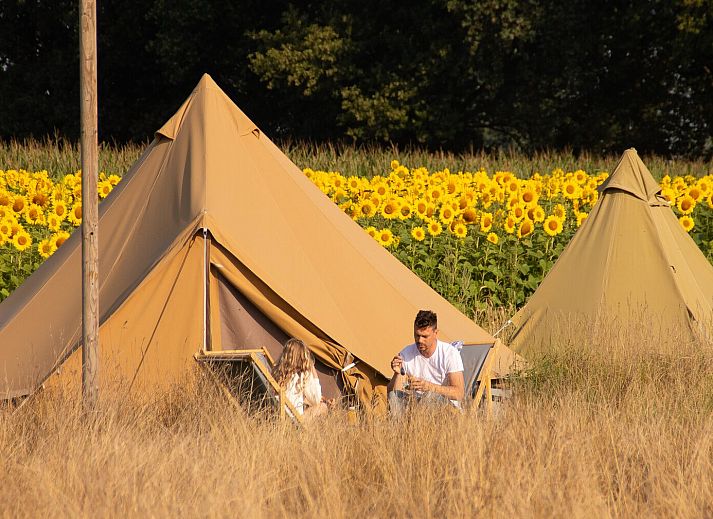 Unterkunft 524649 • Zelthaus Twente • Pop-up glamping: Buurvrouws' Belltentje | 2-4 personen 