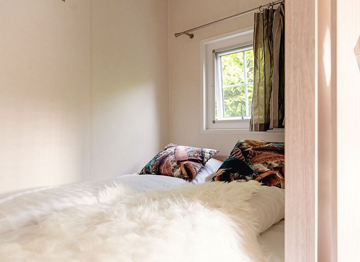 Summer sun on Scandinavian lodge in Zuna, vacation home surrounded by green nature in Twente, Overijssel.