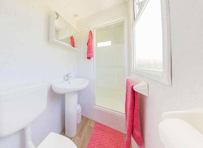 Summer sun on Scandinavian lodge in Zuna, vacation home surrounded by green nature in Twente, Overijssel.