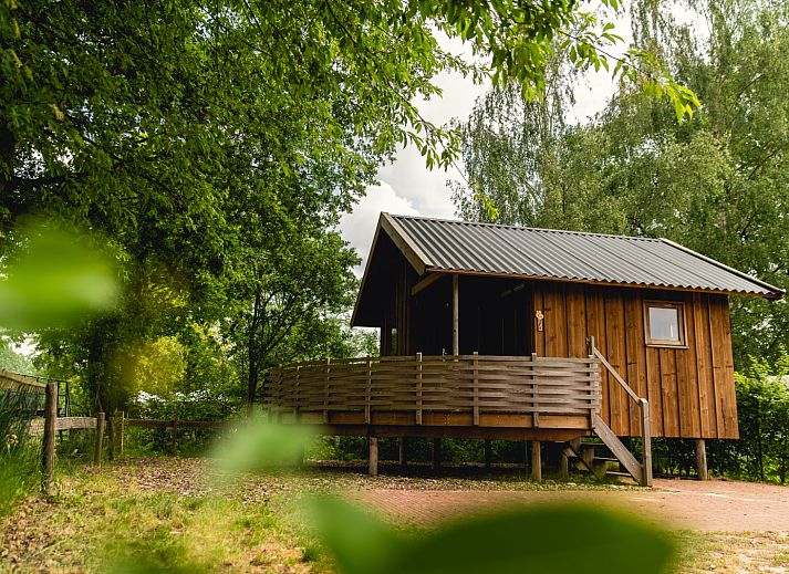 Guest house 524668 - Holiday property Twente - Regge Cottage + hottub