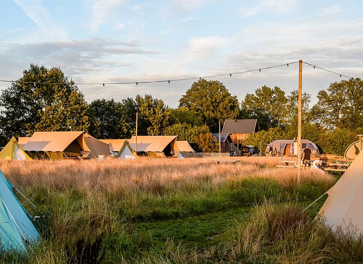 Guest house 524673 • Tent house Twente • Pop-up glamping: Buurman's Awajitentje