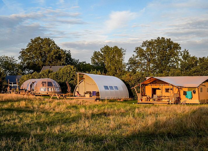 Guest house 524686 • Tent house Twente • 6x luxe glampingtent