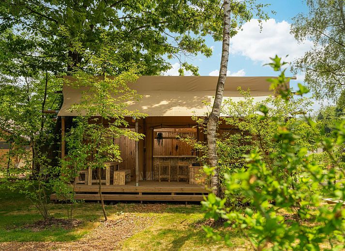 Verblijf 524693 - Tenthuis Twente - Safaritent 'de bartenter' + privé sanitair