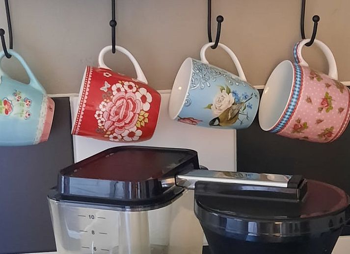 Stylish kitchen in vacation home Manderveen, Twente, overlooking the garden in Overijssel.