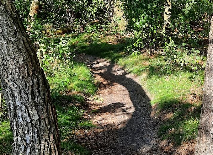 Attractive bedroom in vacation home Manderveen, ideal for a romantic stay in Twente.