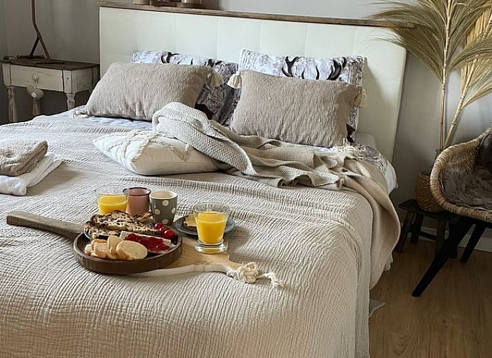 Hanging chair under a tree at vacation home Manderveen, perfect place for relaxation in Twente.