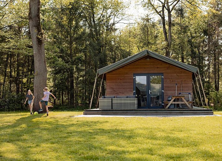 Unterkunft 525012 • Zelthaus Twente • Safarilodge 5 persoons