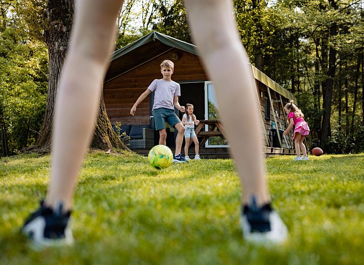 Guest house 525014 - Holiday property Twente - Safarilodge