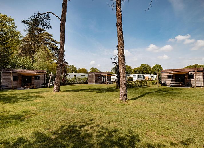 Guest house 525016 - Holiday property Twente - Woodlodge