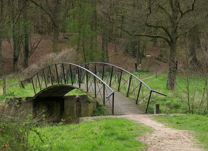 Ruim terras bij Huisje in Buurse, vakantiehuis in het groene landschap van Twente, Overijssel.