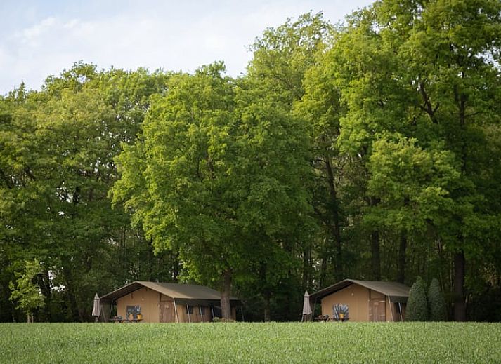Verblijf 525105 • Vakantiewoning Twente • Huisje in Buurse 