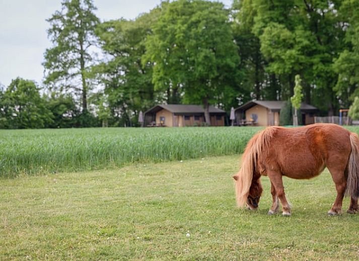 Veranda des Ferienhauses in Buurse, Twente, Overijssel mit Blick auf Wiesen und Baeume.