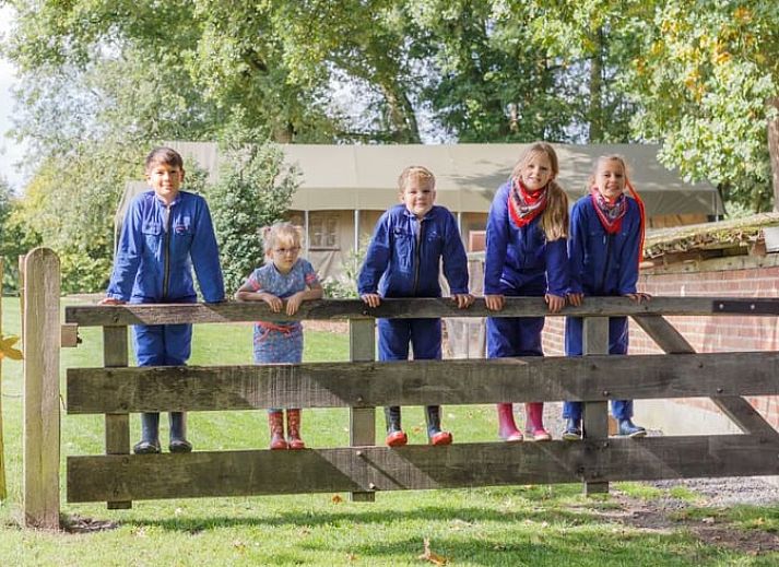 Veranda des Ferienhauses in Buurse, Twente, Overijssel mit Blick auf Wiesen und Baeume.