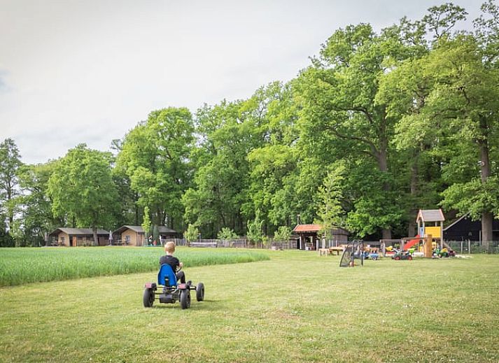 Veranda des Ferienhauses in Buurse, Twente, Overijssel mit Blick auf Wiesen und Baeume.