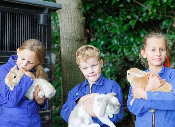 Gemuetliches Wohnzimmer des Ferienhauses in Buurse, Twente, Overijssel mit Blick auf die Terrasse.