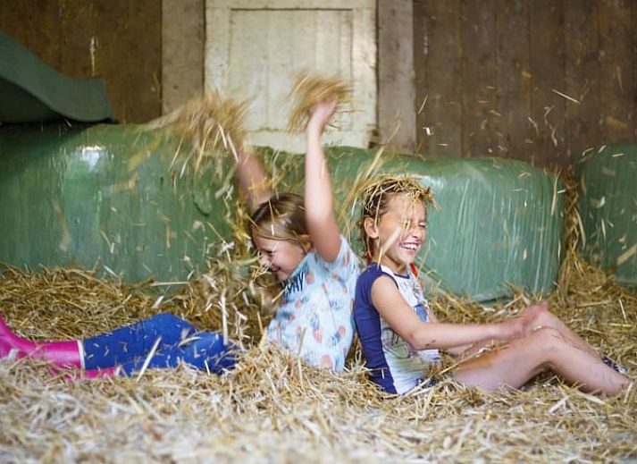 Schaukelstuhl auf der Terrasse des Ferienhauses in Buurse, Twente, Overijssel mit gruener Umgebung.