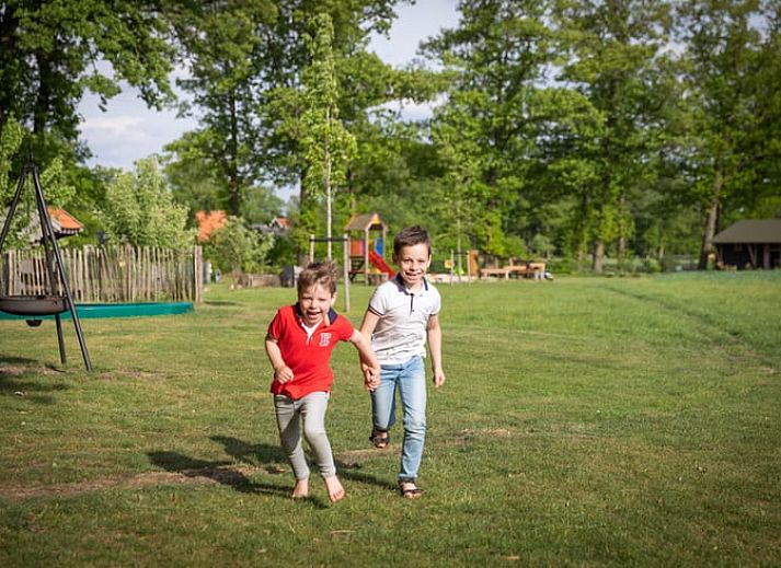 Schaukelstuhl auf der Terrasse des Ferienhauses in Buurse, Twente, Overijssel mit gruener Umgebung.