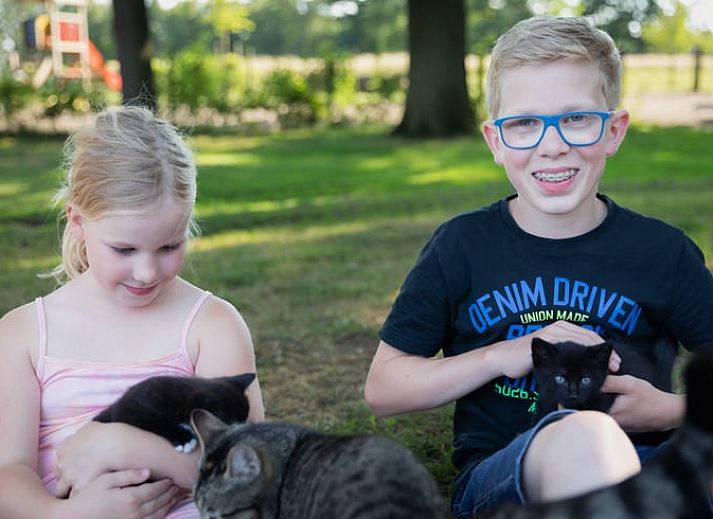 Unterkunft 525107 - Ferienhaus Twente - Vakantiehuisje in Buurse