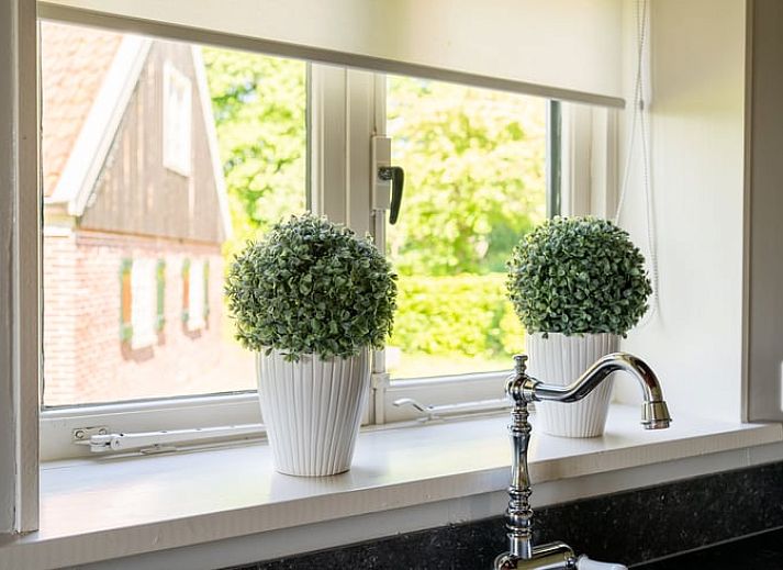 Guest house 525116 - Holiday property Twente - Vakantiehuis in Buurse