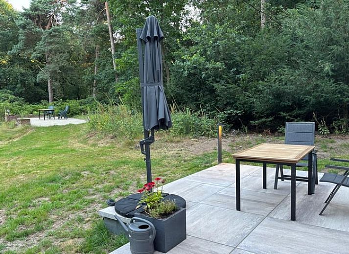 Cozy living room in Cottage in Buurse, vacation home in Twente, with comfortable seating and large windows.