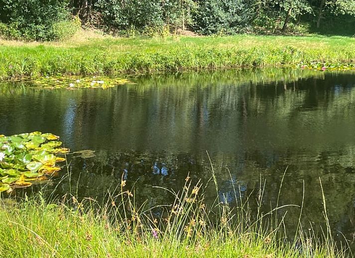Cozy living room in Cottage in Buurse, vacation home in Twente, with comfortable seating and large windows.