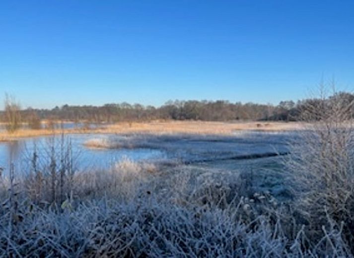 Sleek kitchen in Cottage in Buurse, vacation home in Twente, with modern appliances and forest views.