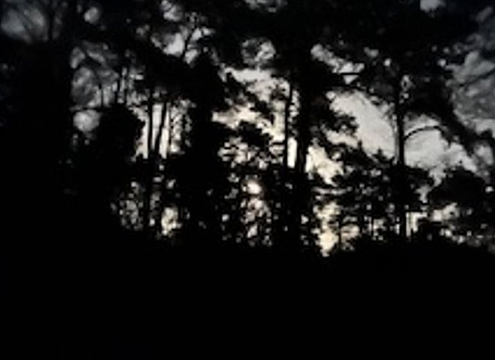 Sleek kitchen in Cottage in Buurse, vacation home in Twente, with modern appliances and forest views.