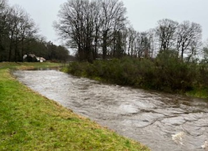Sleek kitchen in Cottage in Buurse, vacation home in Twente, with modern appliances and forest views.