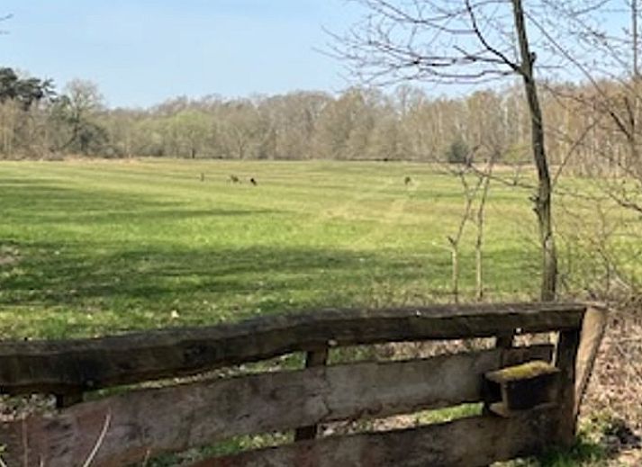 Sleek kitchen in Cottage in Buurse, vacation home in Twente, with modern appliances and forest views.