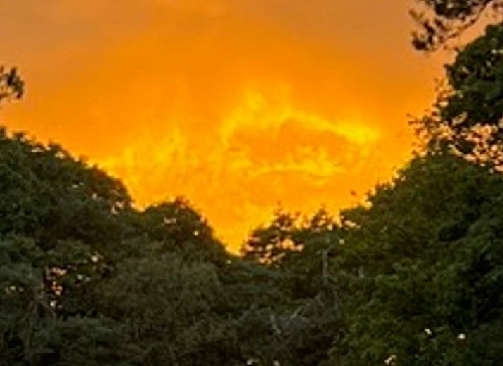 Bedroom in Cottage in Buurse, vacation home in Twente, with comfortable double bed and quiet ambience.