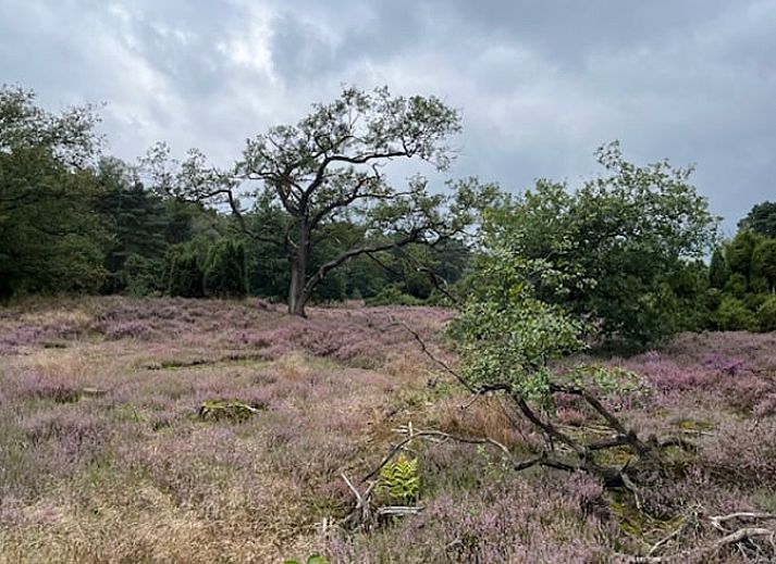 Bedroom in Cottage in Buurse, vacation home in Twente, with comfortable double bed and quiet ambience.