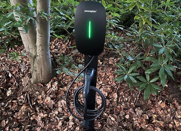 Luxury bathroom in Cottage in Buurse, vacation home in Twente, with spacious shower and natural light.