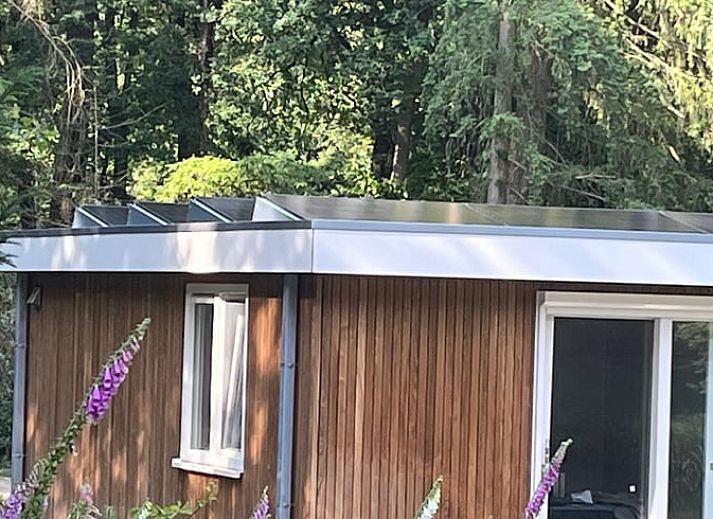 Luxury bathroom in Cottage in Buurse, vacation home in Twente, with spacious shower and natural light.