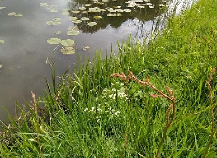 Gezellige woonkamer van Lutke Disserot vakantiehuis in Lattrop, Twente met comfortabele zithoek.