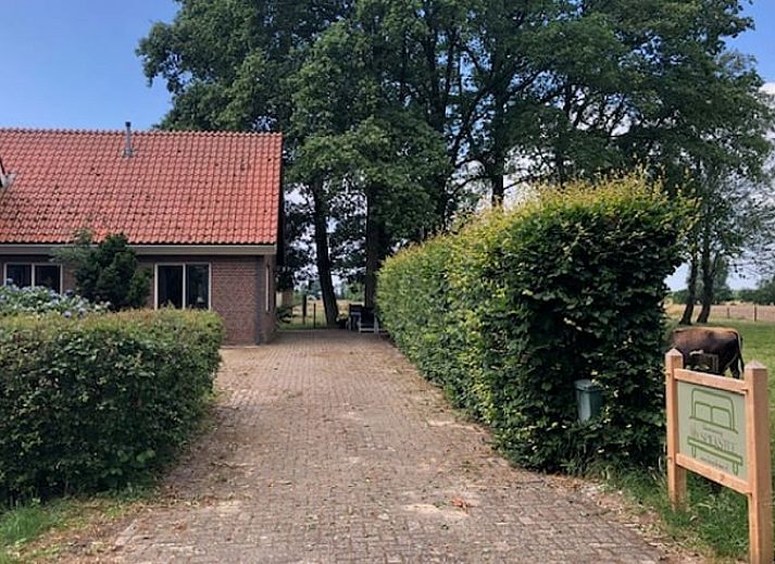 Enjoy grazing cows in nature at Holiday home in Lattrop, Twente, Overijssel.